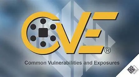 CVE 的图像结果